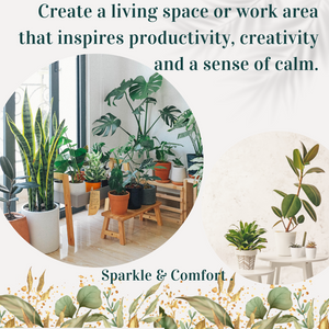 Indoor plants for pleasure and well-being
