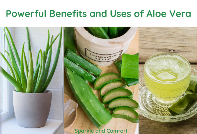 Powerful Benefits and Uses of Aloe Vera for overall health