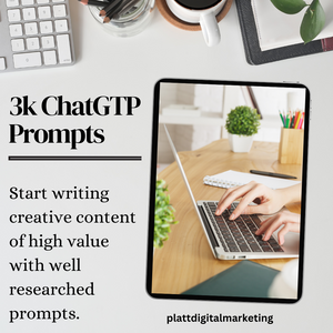 eBook - ChatGPT 3k Prompts for Business, Social Media and Marketing Content with MRR/PLR rights