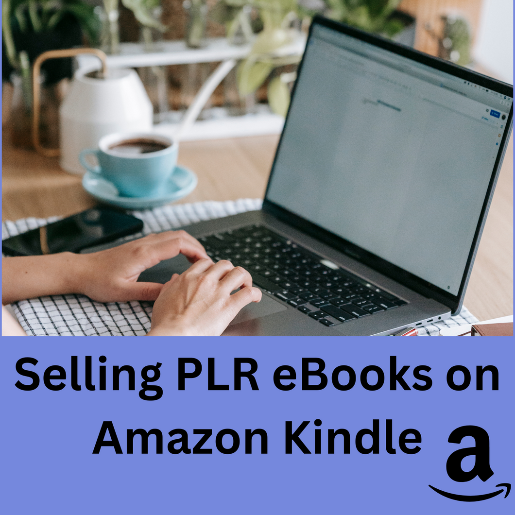 eBook - Selling PLR eBooks on Amazon Kindle