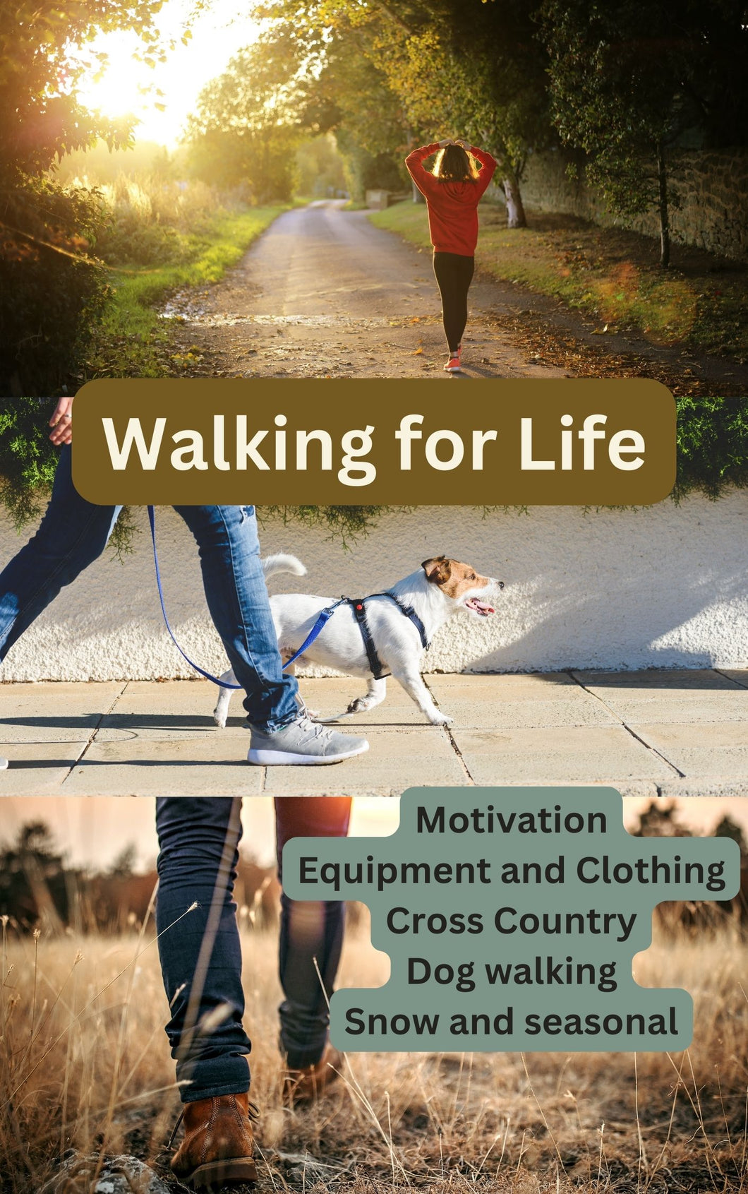 eBook - Walking for Life