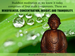 eBook - Mindful Meditation