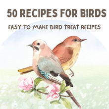 eBook - 50 Bird Treat Recipes