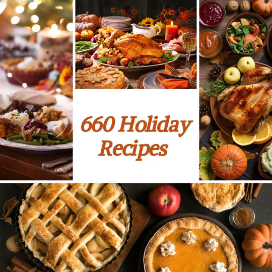 eBook - 660 Holiday Recipes