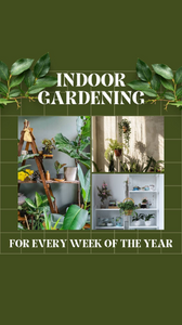 eBooks - Set of 4 Gardening eBooks