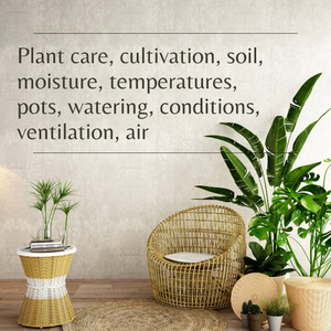 eBook - Indoor Gardening for every week of the year