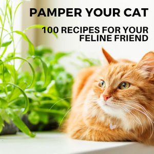 eBook - 100 Cat Treat Recipes