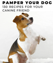 eBook - 130 Dog Treat Recipes