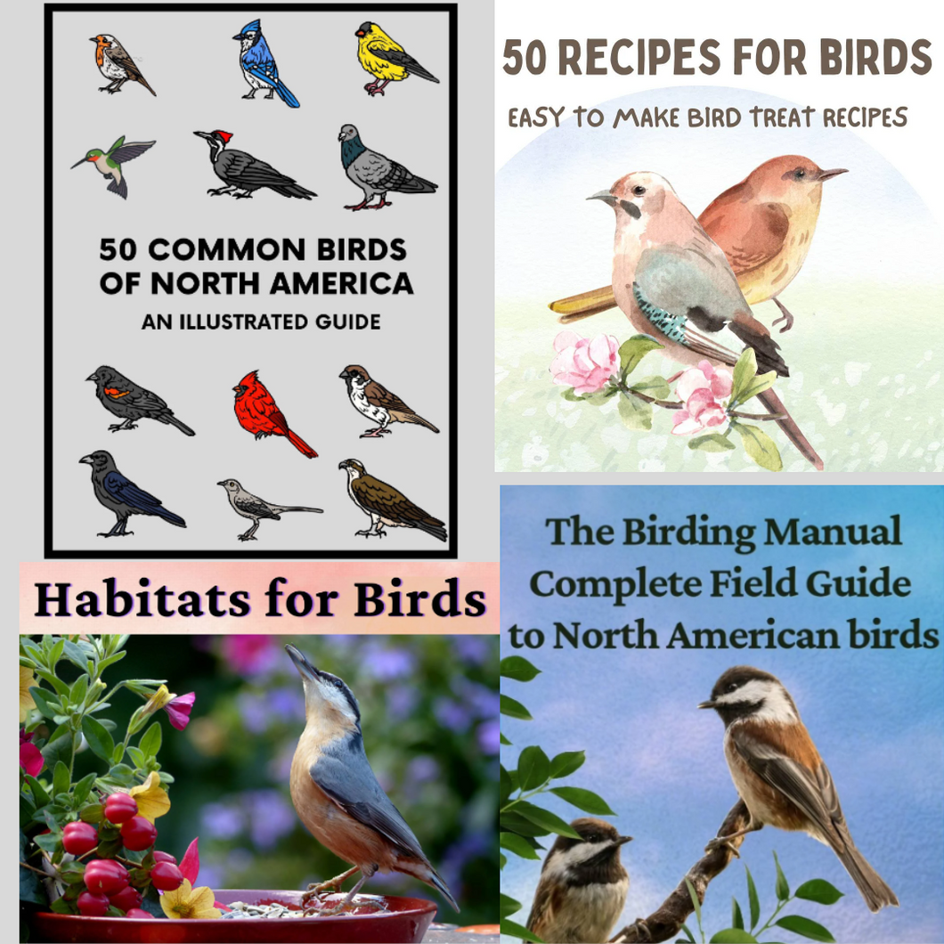 eBooks - Set of 4 Bird eBooks